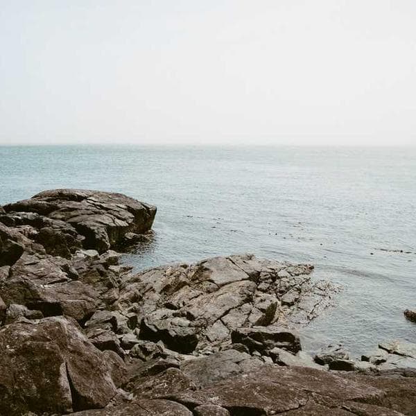 Viskas įskaičiuota